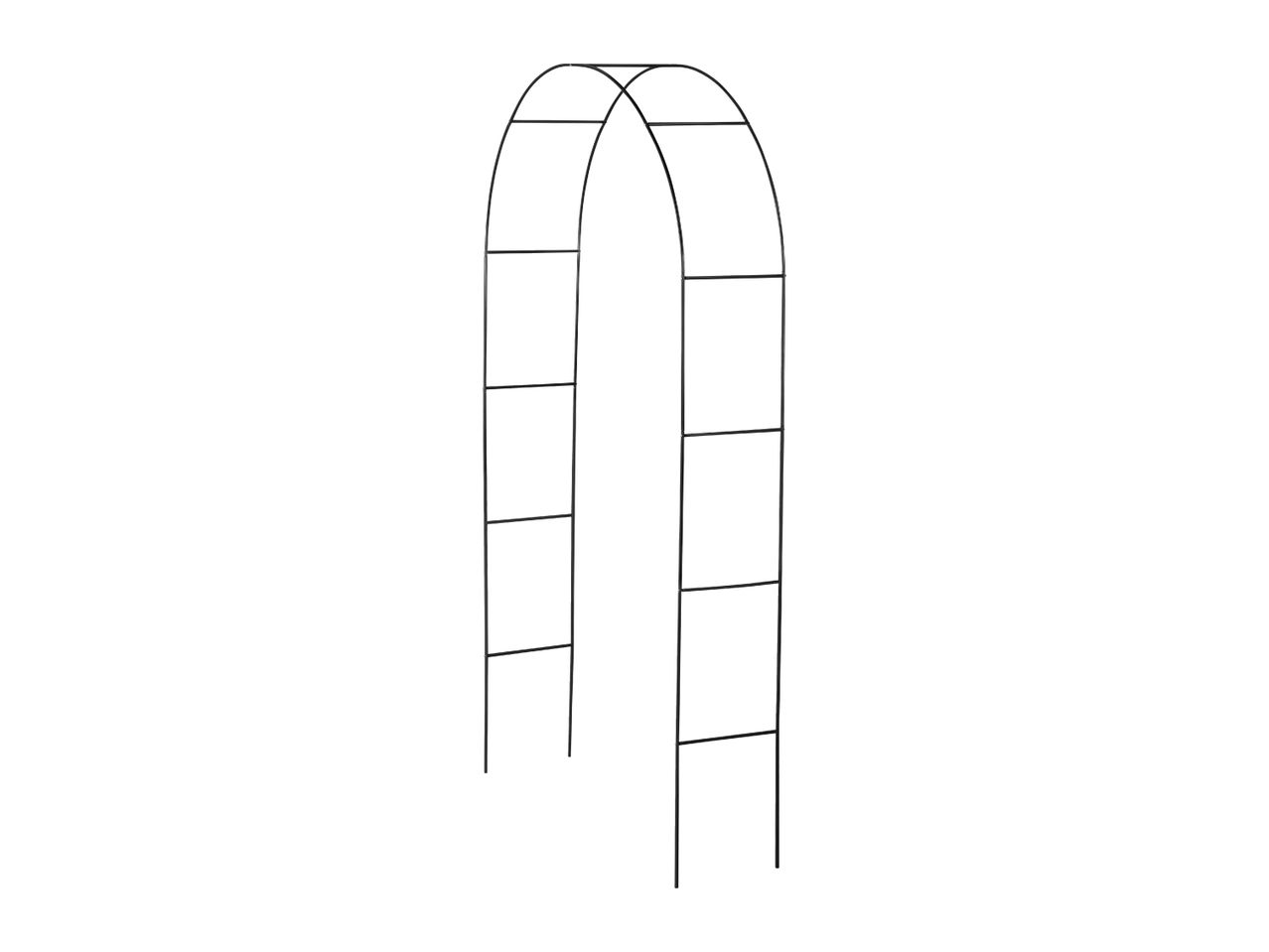 Black metal garden arch for climbing plants