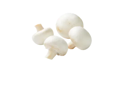 Ciuperci grill Champignon