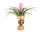 Roze lepelplant in een decoratieve bloempot in de vorm van een vrouwenhoofd met zonnebril.