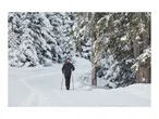 A man in black winter clothing walking with trekking poles on a snowy path in the forest.