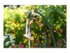 Garden hose with a brass tap connector and spray gun, set against a floral background.