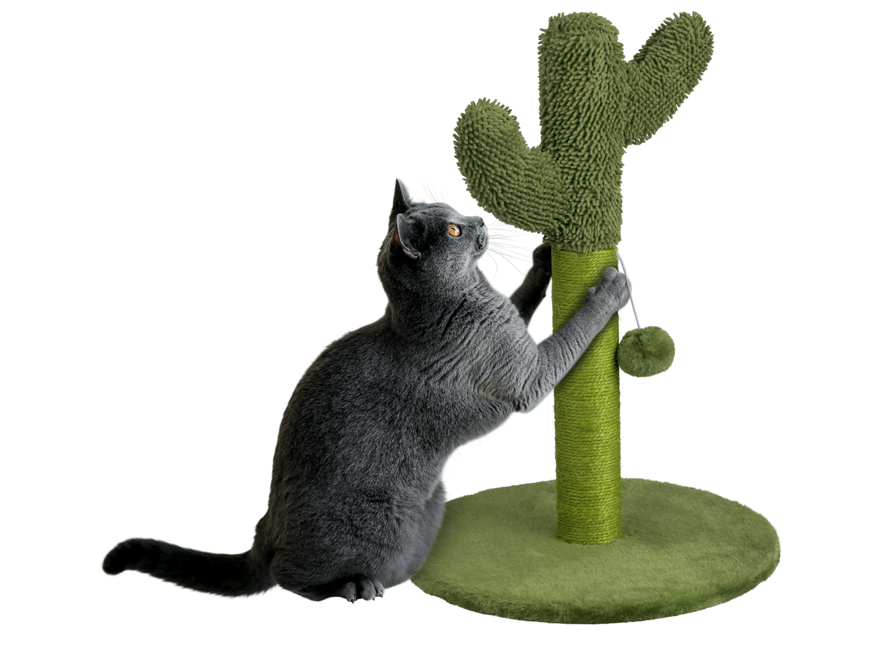 Сива котка драска зелен стълб за драскане с форма на кактус.