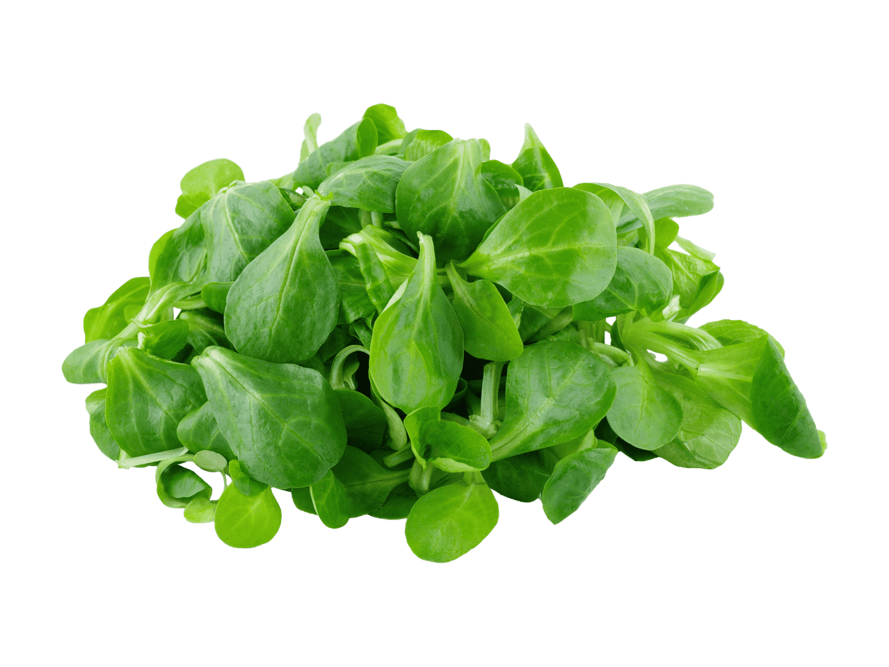 Tuoretta vuonankaalia mustalla taustalla.