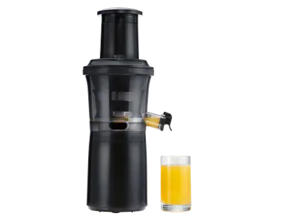 Lėtaeigė sulčiaspaudė