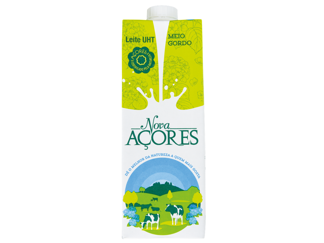 Caixa de leite UHT Nova Acores meio gordo.