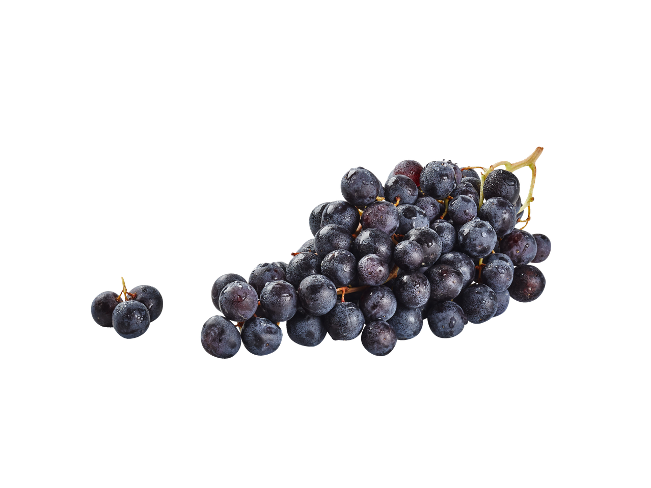 Uvas escuras com gotas de água; um cacho grande e um pequeno.