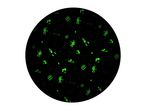 Glow-in-the-dark space-themed pattern with astronauts, rockets, and planets.