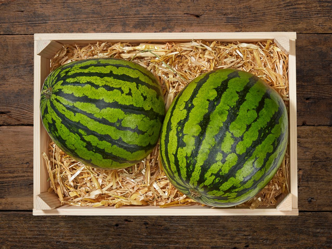Zwei Wassermelonen in einer Holzkiste.