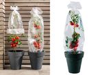 Две саксии с домати, защитени с фолио за растения Parkside®.