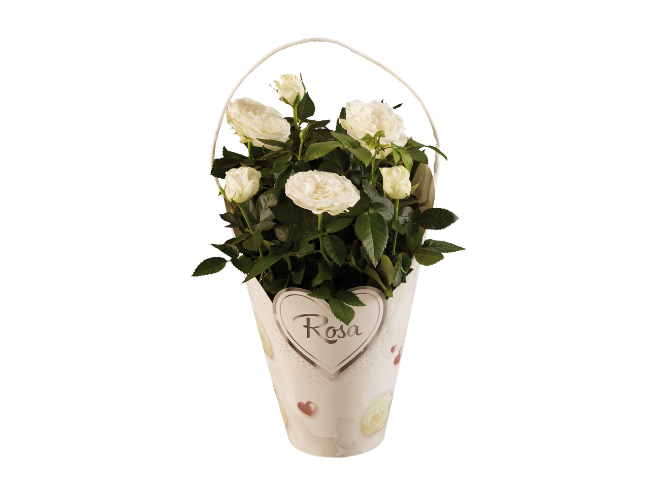 Bele ruže u korpi sa dekoracijom u obliku srca.