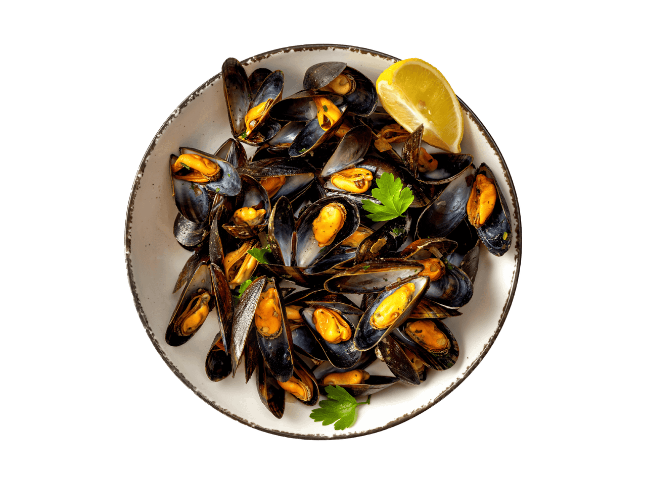 Gedämpfte Muscheln mit Petersilie und Zitrone in einer weißen Schale