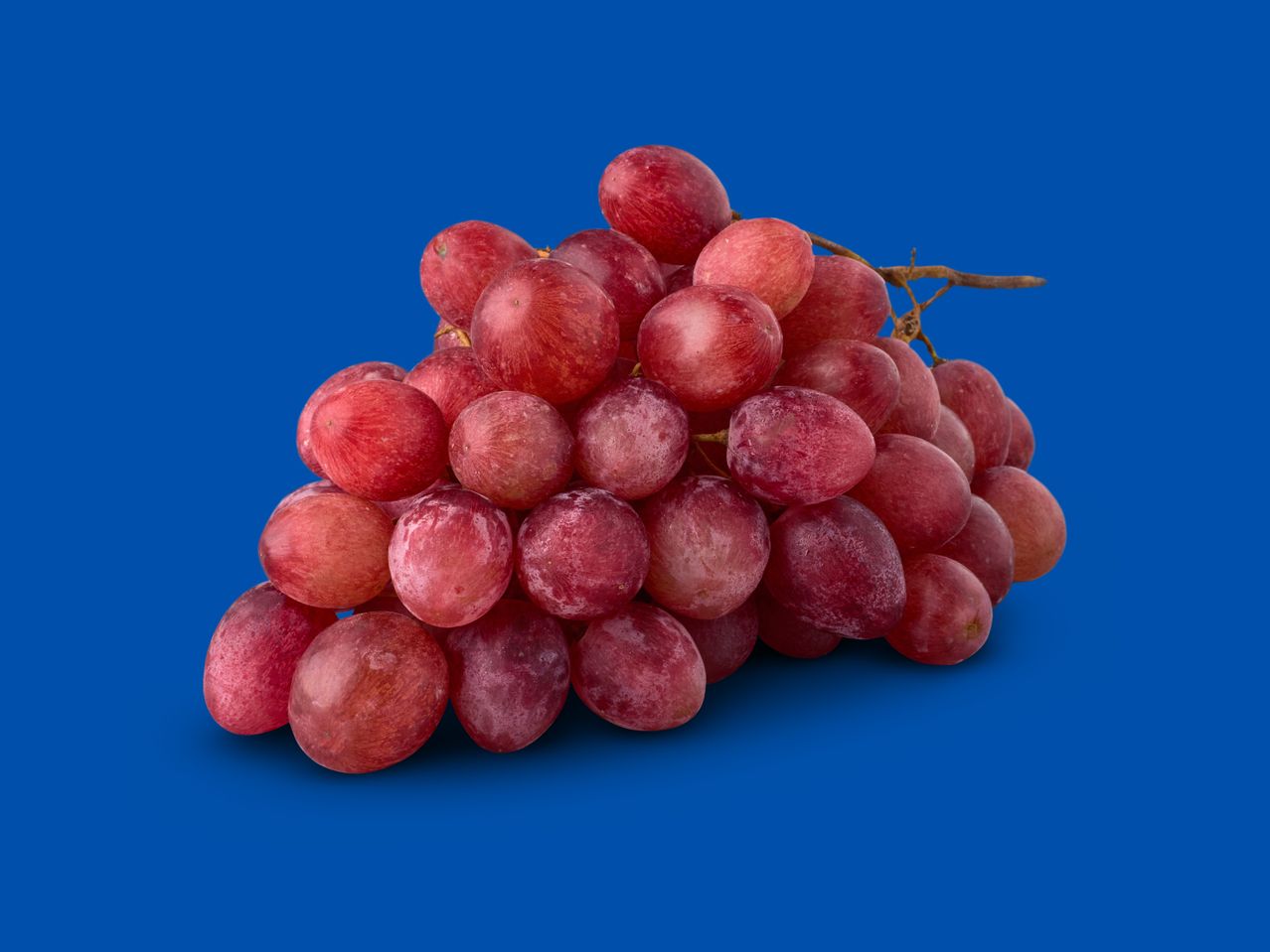 Go to full screen view: Red Grapes - Image 1