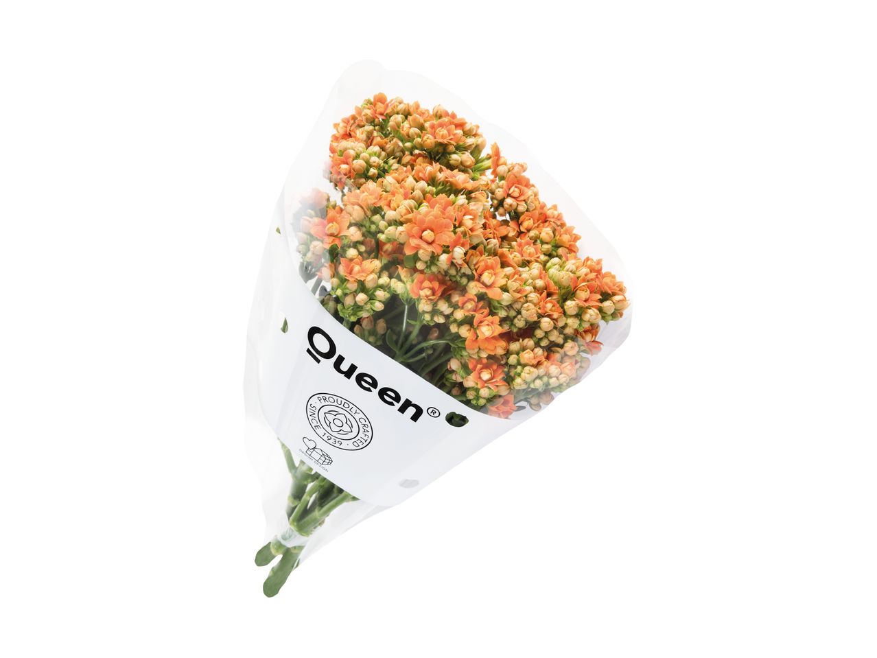 En buket orange Kalanchoe-blomster pakket ind i klar plast med et 'Queen'-mærke.