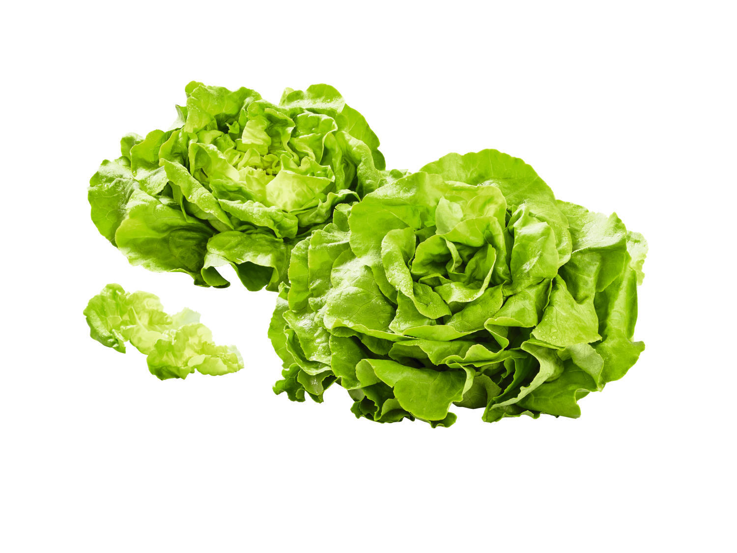 Kropsla
