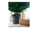 A potted plant wrapped in green protective fleece and tied with white string.