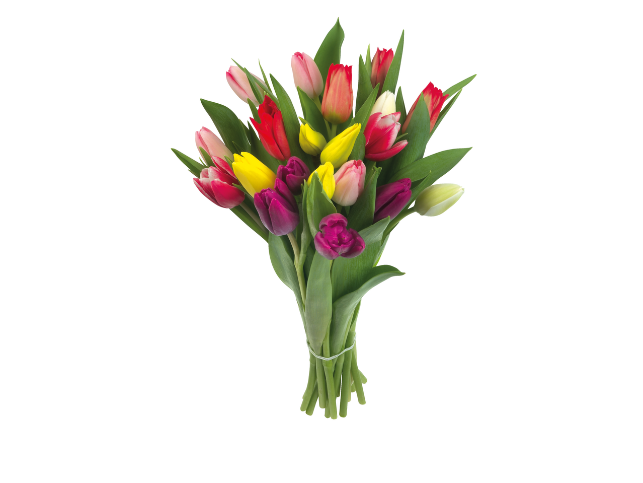 Μπουκέτο πολύχρωμων τουλίπες.