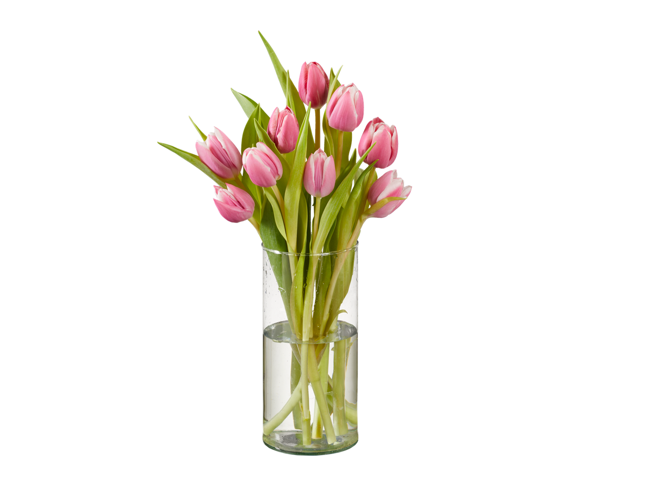 Lalele roz într-o vază de sticlă.