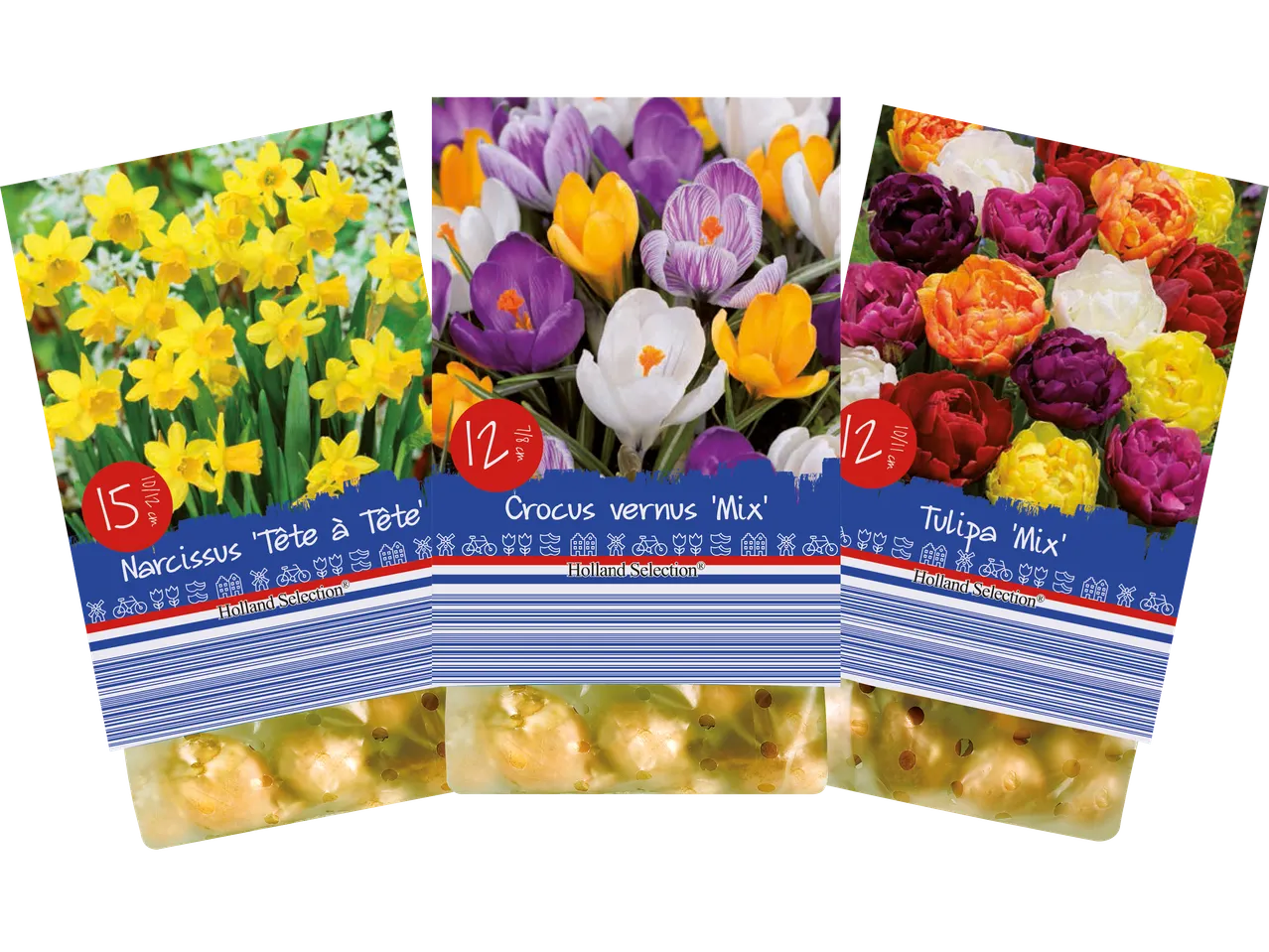 Tre förpackningar med blomsterlökar från Holland Selection: Narcissus 'Tête à Tête', Crocus vernus 'Mix' och Tulipa 'Mix'.