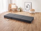 A gray foldable mattress on a wooden floor with a chair, plant, and artwork in the background.
