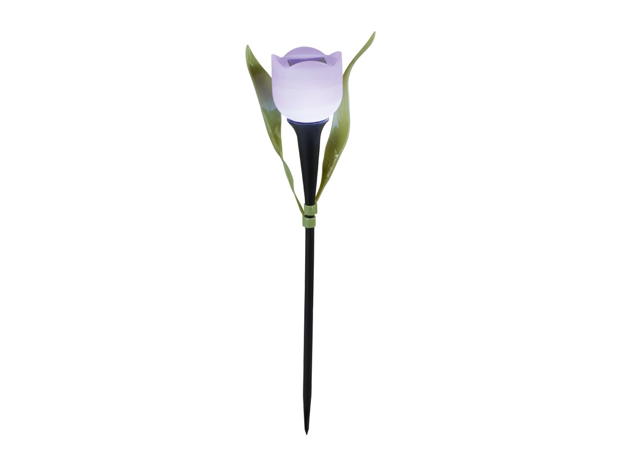 Purple tulip-shaped solar garden light with green leaves and a black stake.