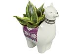 Керамична саксия във формата на лама с растение Sansevieria trifasciata 'Laurentii'.