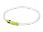 Leuchtendes Hundehalsband in Weiß und Neongrün