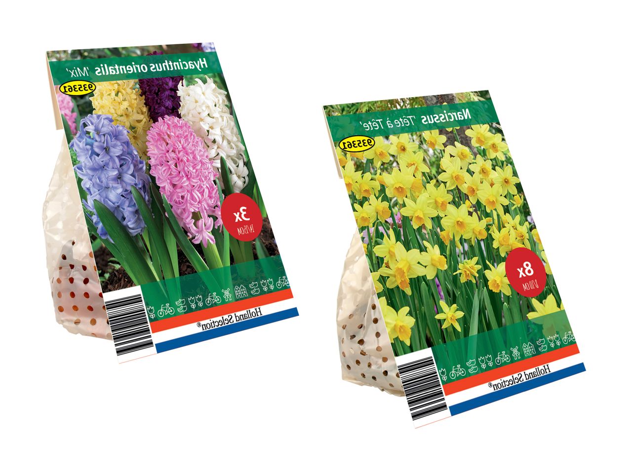 To pakker blomsterløg: en med hyacinter i forskellige farver og en med gule påskeliljer.