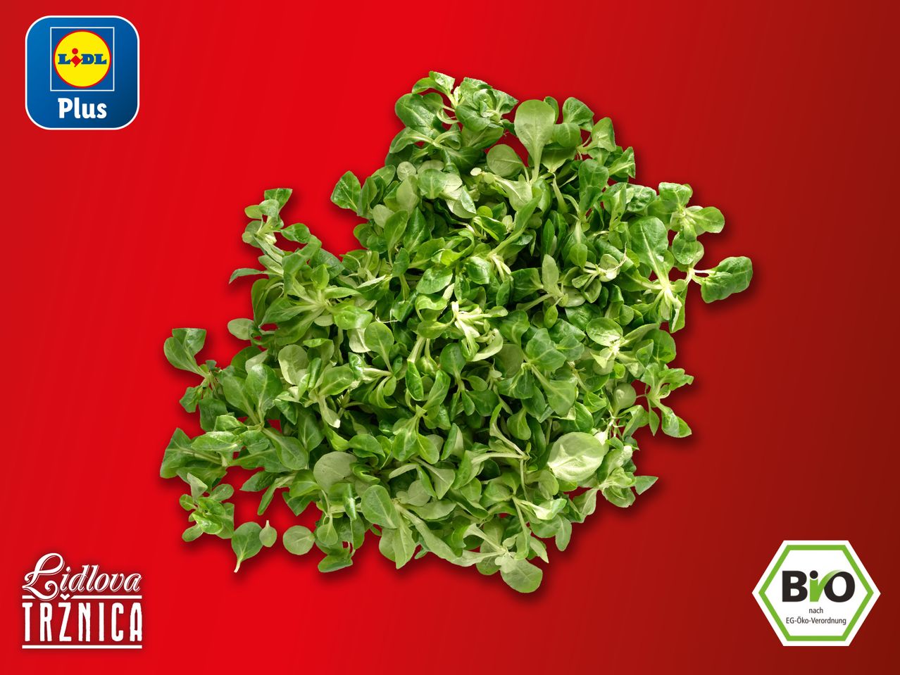 Lidl Plus: Svježa matovilac salata s logotipom Lidl Tržnica i BIO oznakom.