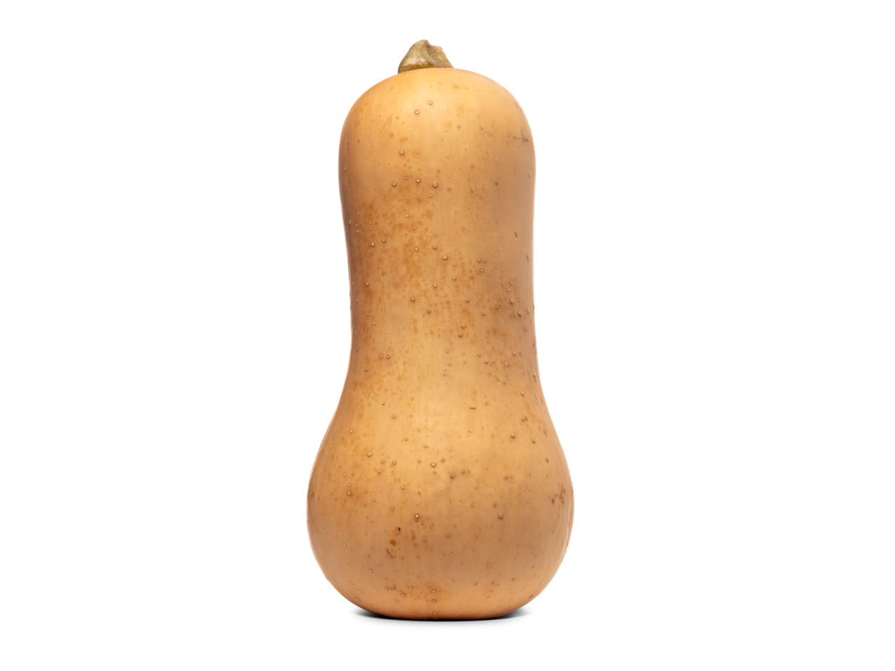 Een flespompoen op een zwarte achtergrond.