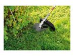 Brush cutter with a metal blade attachment trimming grass near a bush.