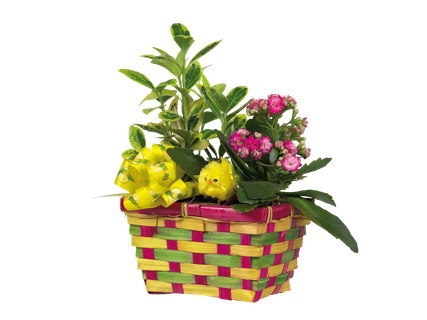 Húsvéti kosár*