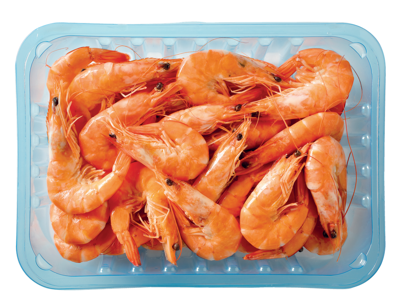 Bandeja de camarão fresco.