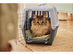 O pisică într-o cușcă de transport pentru animale de companie.