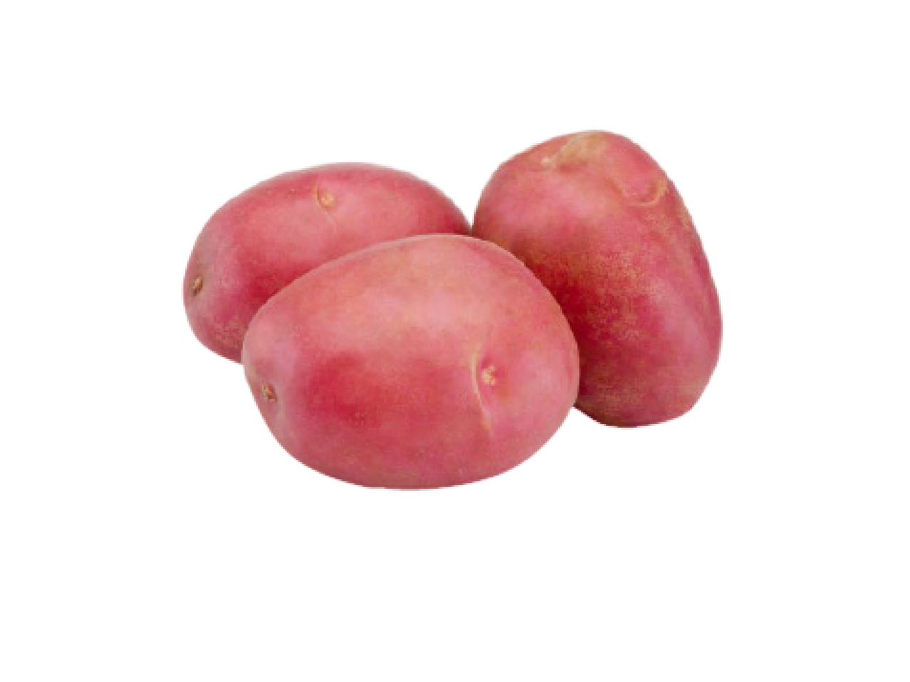 Três batatas vermelhas frescas.