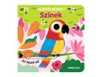 Hangoskönyv: Szinek, egy színes papagáj illusztrációjú gyerek könyv.