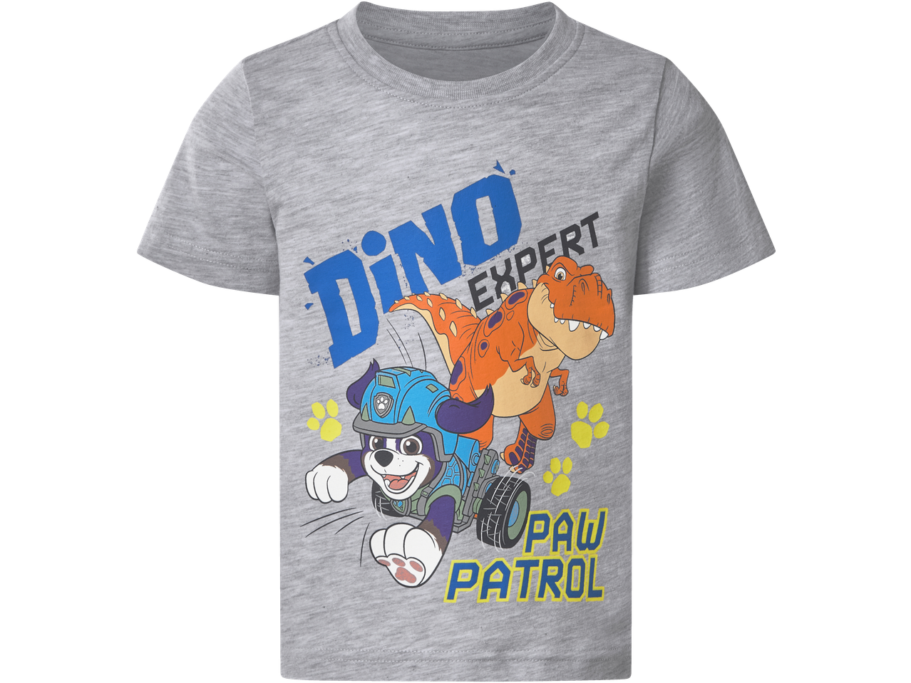 T-shirt cinzenta infantil com cachorro e dinossauro, texto 'DINO EXPERT' e 'PAW PATROL'.