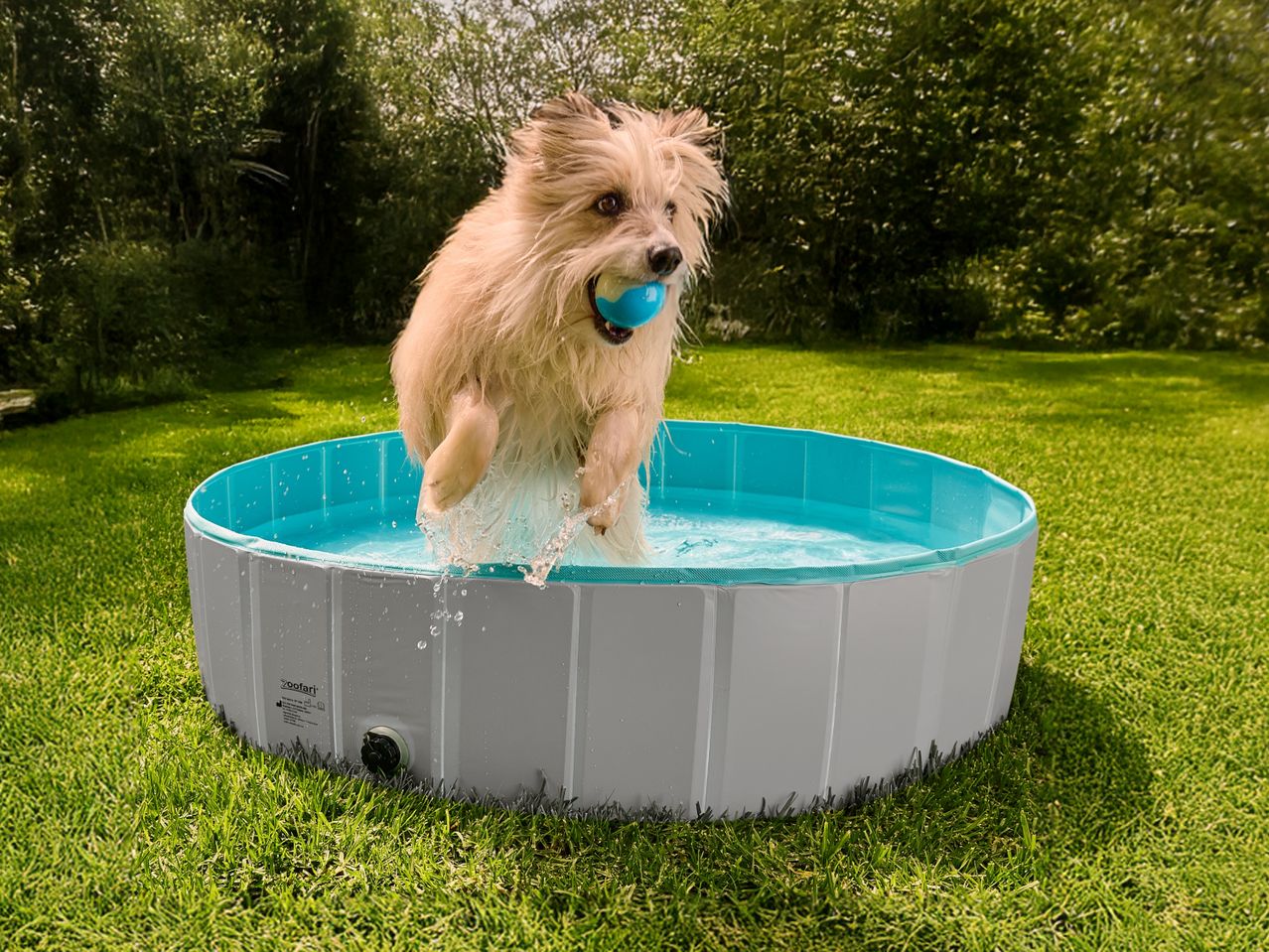 Hundepool