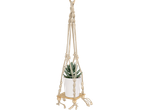 Suporte de macramé para plantas com vaso branco e suculenta verde, em fundo preto.