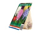 Holland Selection hyacintbollen in verpakking, met een etiket met 'Hyacinthus orientalis 'Mix'' en '3x 14/15CM'.