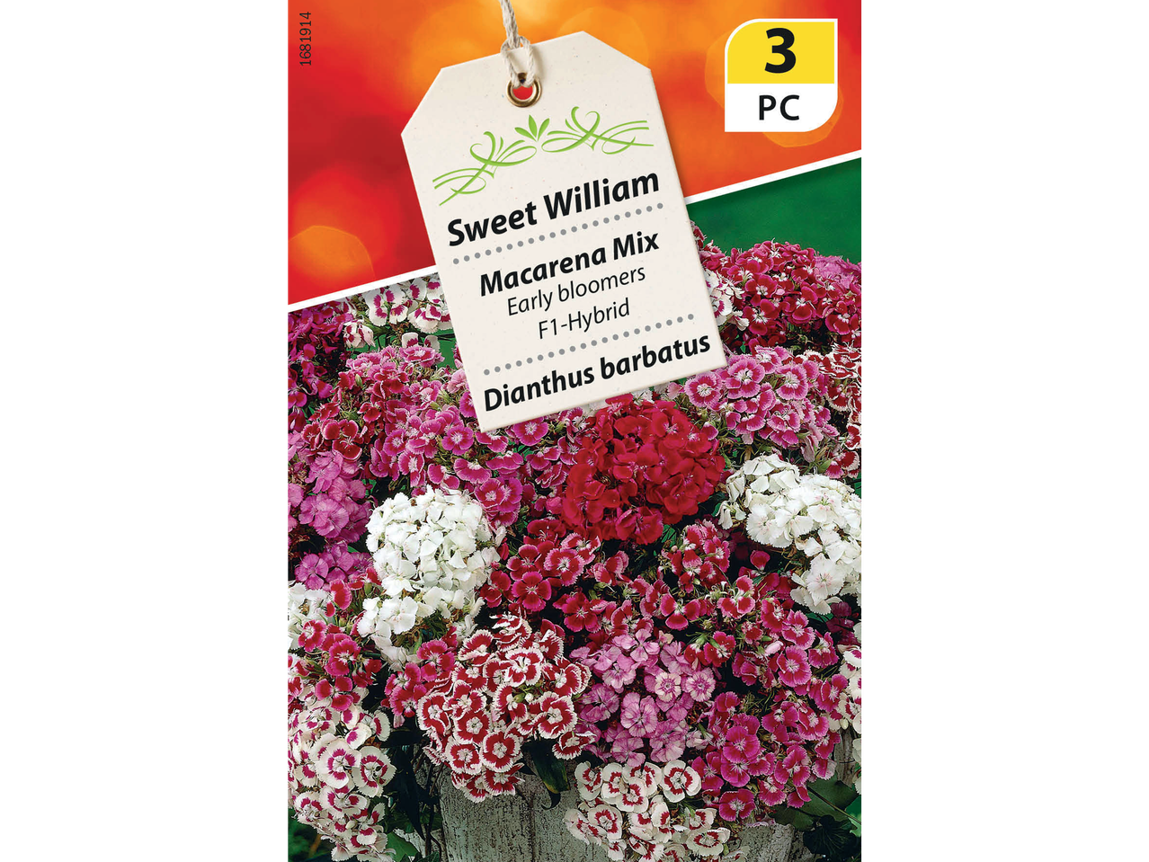 Sweet William Macarena Mix flower seeds, 3 pieces, with red, pink, and white blooms.