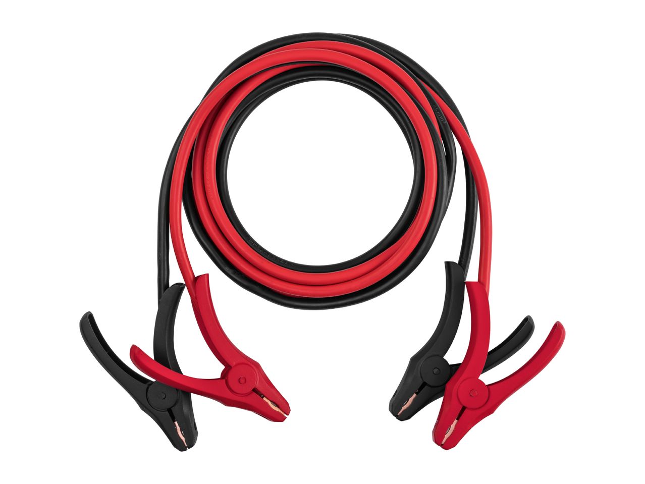 Coiled red and black car jumper cables with heavy-duty clamps on a white background.