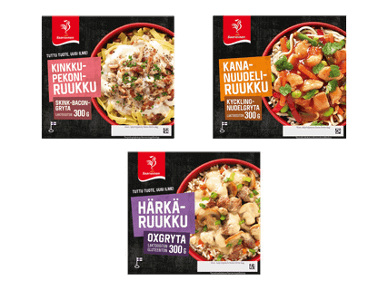 SAARIOINEN Ruukut 2 kpl