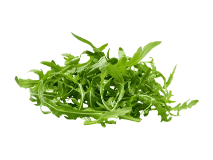 Rucola bio svizzeri