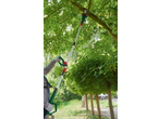Person pruning a tree with a long-reach pole saw, green foliage and trees in the background.