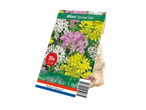 Allium 'Species Mix' flower bulb packaging with 35 bulbs, Holland Selection brand.