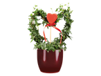 Heart-shaped ivy plant in a red pot with a red heart decoration.