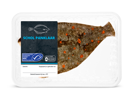 Panklare schol