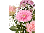 Gerberas, rosas e cravos rosas.