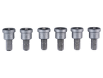 Six Parkside® S2 PH2 magnetic screwdriver bits for DIY assortment.