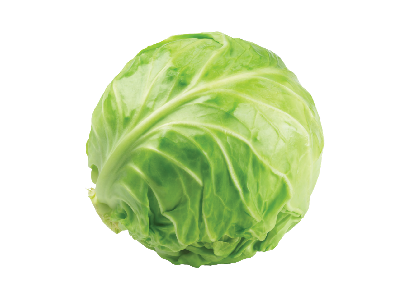 Šviežias baltagūžis kopūstas.